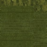 Asset preview